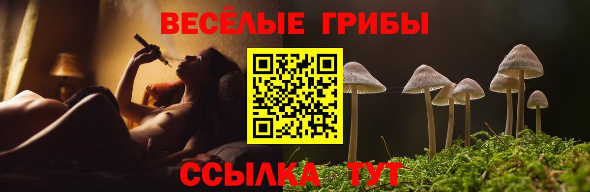 где купить наркотик  Вход с VPN  Галлюциногенные грибы MAGIC MUSHROOMS  Кандалакша  Галлюциногенные грибы прущие грибы 